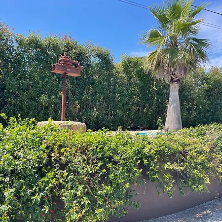 Dos Amados - Winter House * فيانا دو كاستيلو