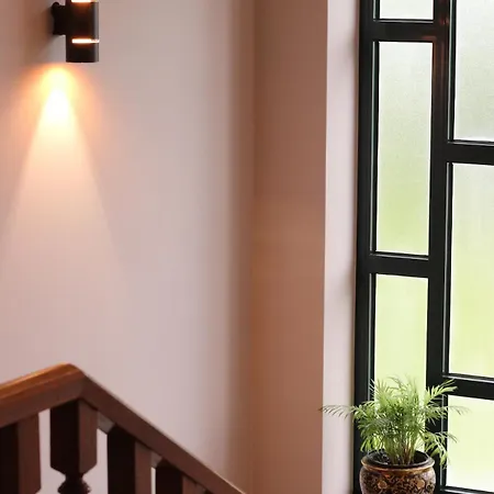 Dos Amados - Winter House *