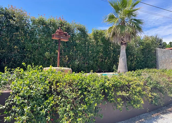 Dos Amados - Winter House * فيانا دو كاستيلو