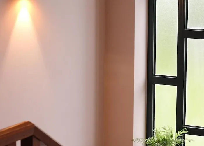 Dos Amados - Winter House *